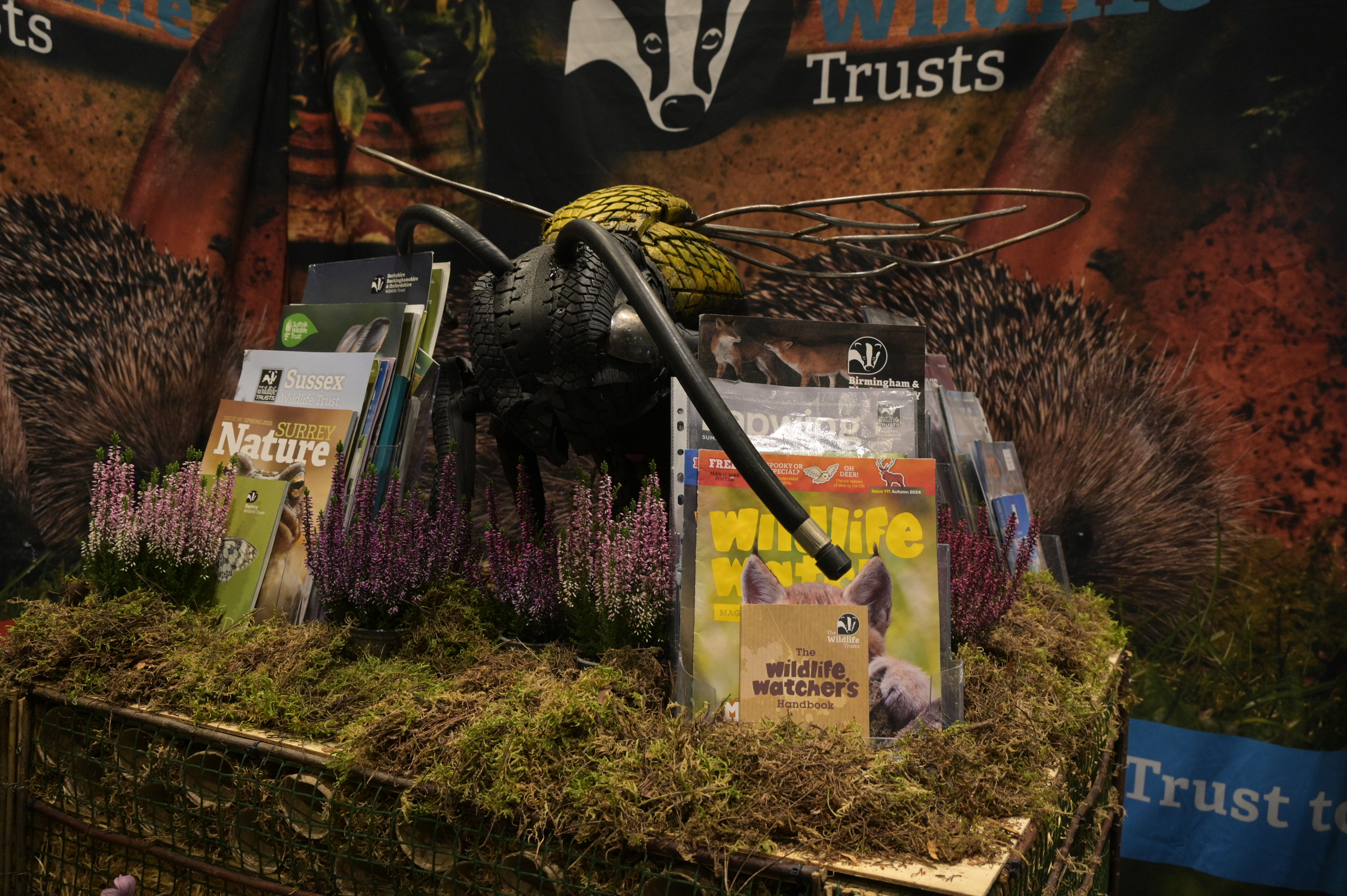 Kings伯恩茅斯校区学生参观伦敦科学展